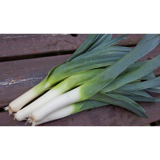 Image Title LEEK; Musselburgh